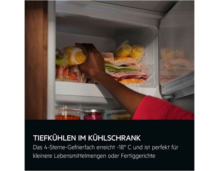 AEG Santo TF5OS882DF EEK:D Gefrierteil 88cm