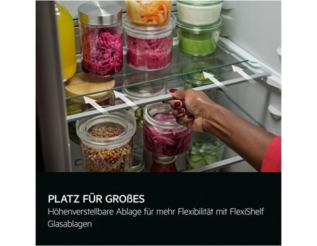 AEG Santo TF5OS882DF EEK:D Gefrierteil 88cm