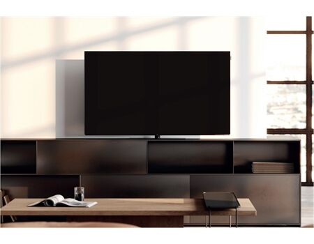Loewe We. SEE 42 oled dc