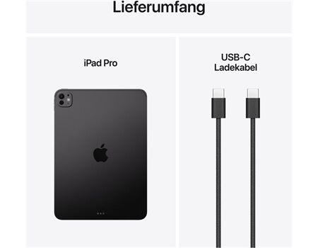 Apple iPad Pro 11" M5 (256GB) WiFi space schwarz