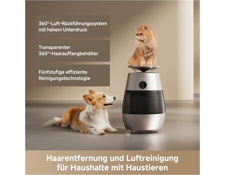 dreame AP 10, Haustier-Luftreiniger