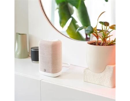 Bluesound Flex (P130) tan