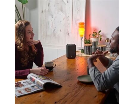 Bluesound Flex (P130) black