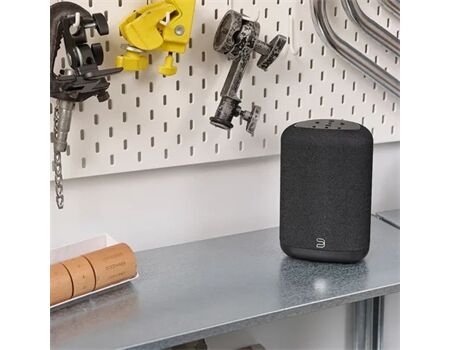 Bluesound Flex (P130) black