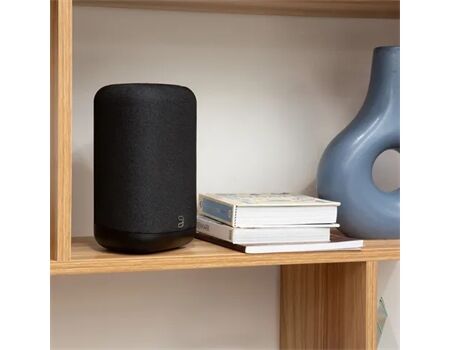Bluesound Flex (P130) black