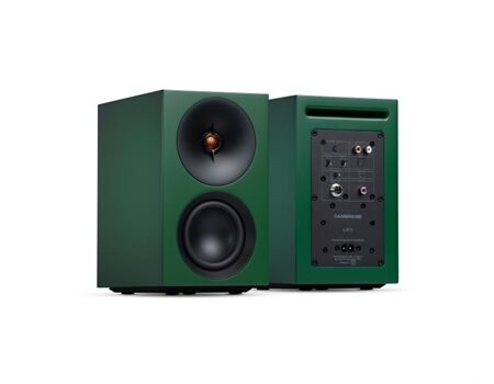 Cambridge L/R S grün