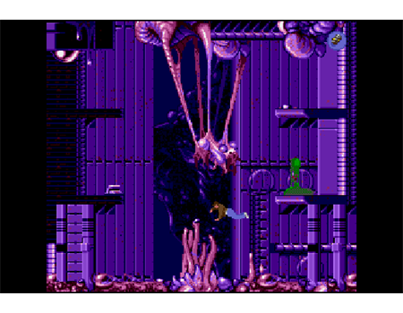EVERCADE Delphine Collection 1 Cartridge