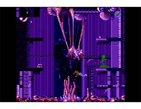 EVERCADE Delphine Collection 1 Cartridge