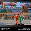 EVERCADE Toaplan Arcade Collection 4 Cartridge