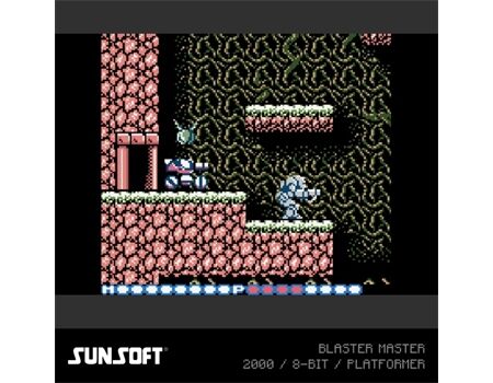 EVERCADE Sunsoft Collection 2 Cartridge