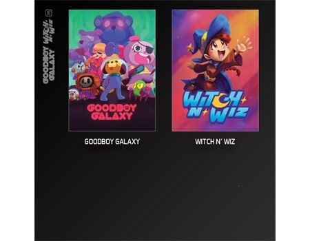EVERCADE Goodboy Galaxy / Witch n Wiz Cartridge