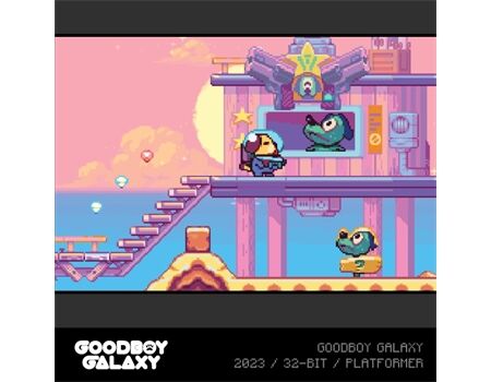 EVERCADE Goodboy Galaxy / Witch n Wiz Cartridge