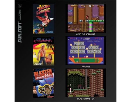 EVERCADE Sunsoft Collection 1 Cartridge