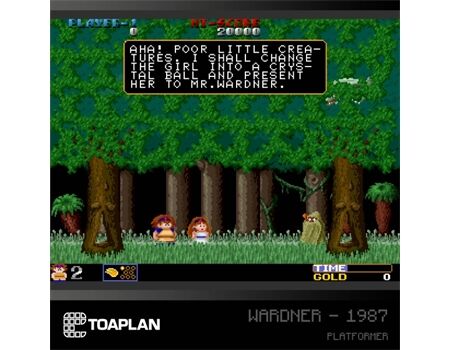 EVERCADE Toaplan Arcade Collection 2 Cartridge