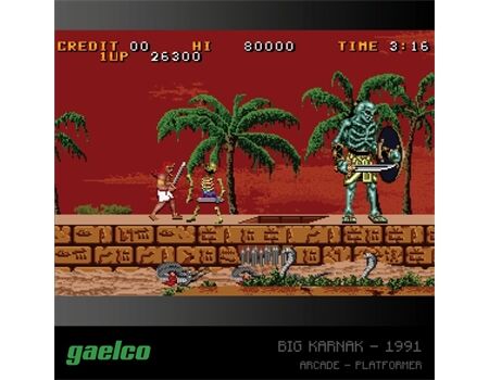 EVERCADE Gaelco (Piko) Arcade Cartridge 2