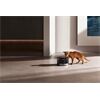 MOVA WF20 Pro Trinkbrunnen MOVA WF20 Pro Trinkbrunnen