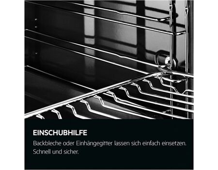 AEG TS6PB53ZAB Pyrolyse/Kerntemperatur/2fach VAZ