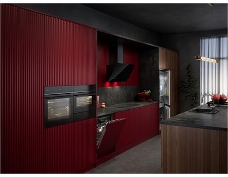 AEG TS6PB53ZAB Pyrolyse/Kerntemperatur/2fach VAZ