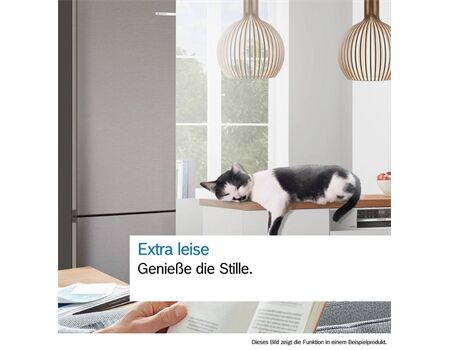 Bosch B-Ware KGN39VXAU schwarz