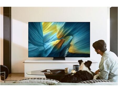 Samsung GQ 77 S 95 FAT | 400,- € Cashback