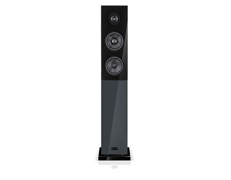 Audio Physic CLASSIC 15 (1 Paar) Anthrazit-Glas