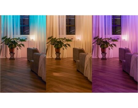 HUE Hue Wandschalter Modul Doppelpack