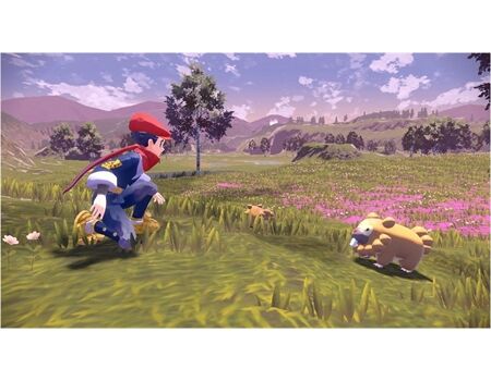 Nintendo Switch Pokémon-Legenden: Arceus