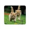Vivanco IT-MP BP PET Mousepad PETS, 4 Motive
