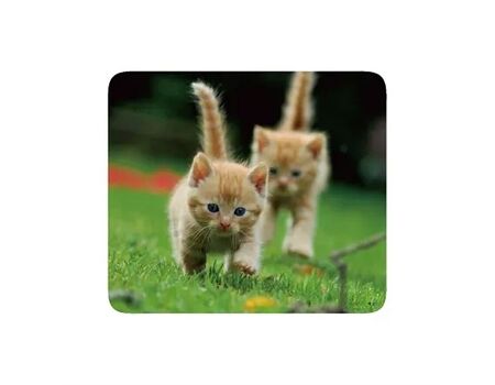 Vivanco IT-MP BP PET Mousepad PETS, 4 Motive