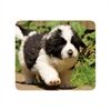 Vivanco IT-MP BP PET Mousepad PETS, 4 Motive