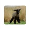 Vivanco IT-MP BP PET Mousepad PETS, 4 Motive