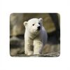 Vivanco IT-MP BP PET Mousepad PETS, 4 Motive