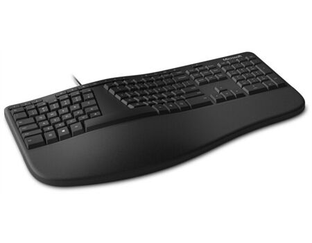 Microsoft Ergonomic Desktop