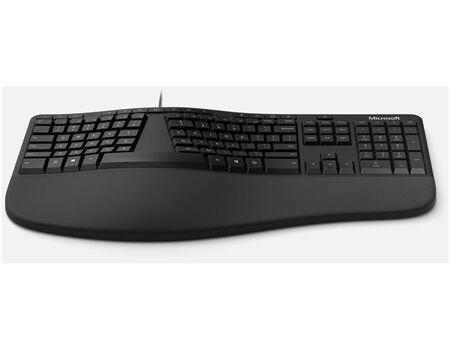 Microsoft Ergonomic Desktop