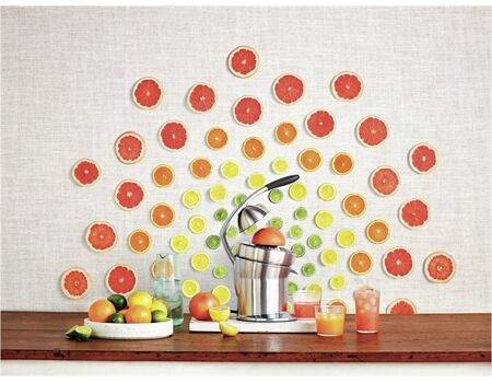 SAGE The Citrus Press Pro (SCP800BSS)