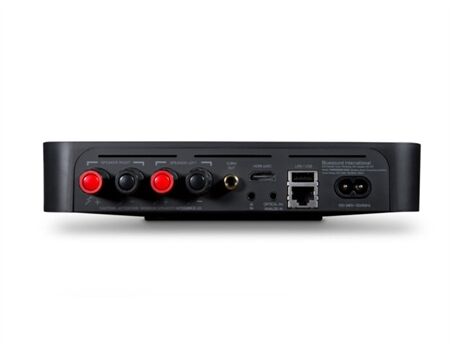 Bluesound Powernode Edge sw