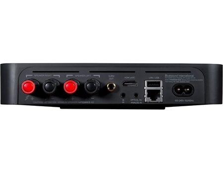 Bluesound Powernode Edge sw