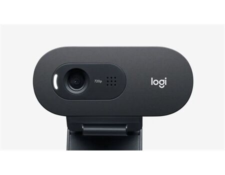 Logitech C505e