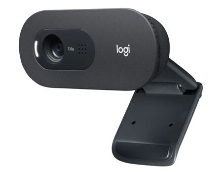 Logitech C505e