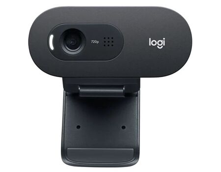 Logitech C505e