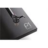 Rega Planar 1 matt schwarz RB110, Carbon MM