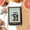 POCKETBOOK Color Moon Silver